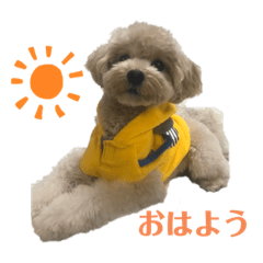 mina_20191218224341