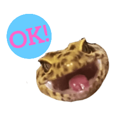 NANANA_20191218222855