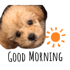 Mizuki_20191218164501