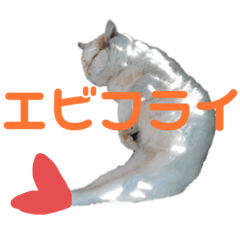 ayano_20191218234308