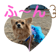 yukari_20191219002846