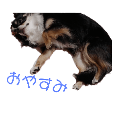 c_20191218235055