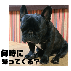 haruna_20191219091438