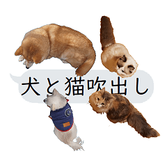 Cats and Dogs speech bubble