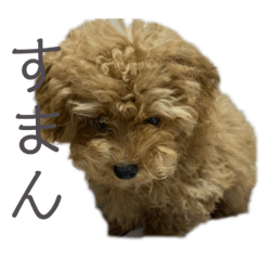 Marina_20191219143909