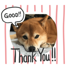 Ken_20191219164253