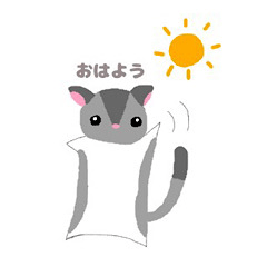 sugar glider<daily conversation>