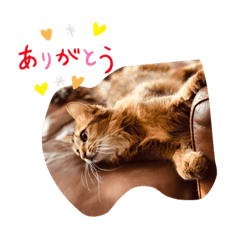 Tetsu_20191219173010