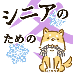 [for Senior] polite shiba-inu winter