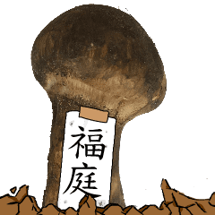 松茸研究家福庭さんのマツタケ