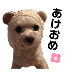 mina_20191219185209
