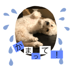 ayumi_20191219195912