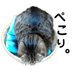 chi_20191219205642