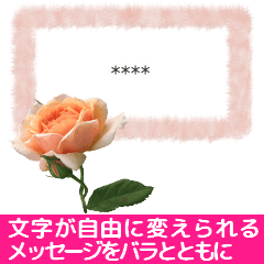 Changeable text free word add rose