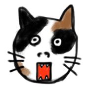 To be surprised cats