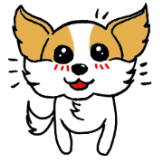 Mocha of Chihuahua Mocha of Chihuahua