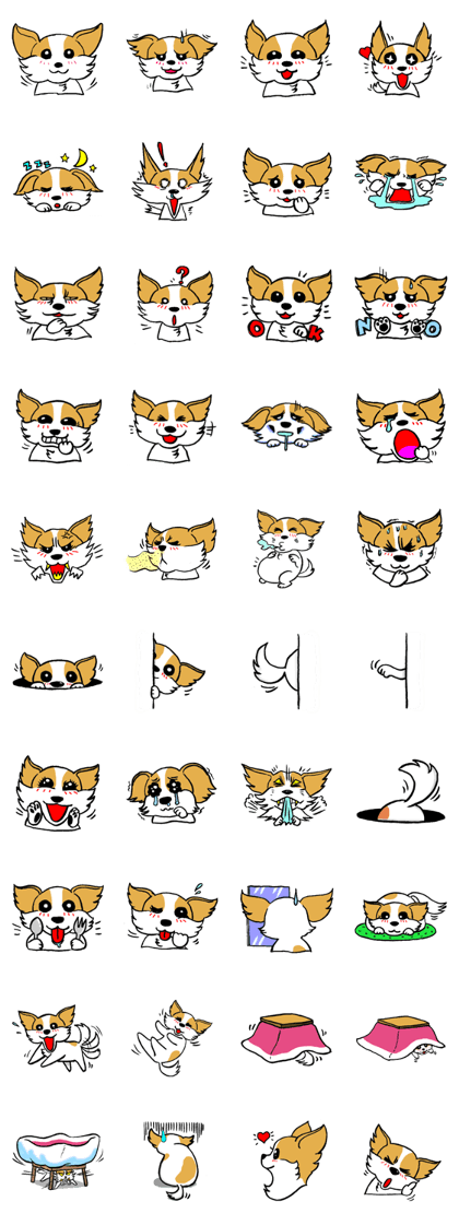 Mocha of Chihuahua Mocha of Chihuahua