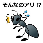 The ant story The ant story