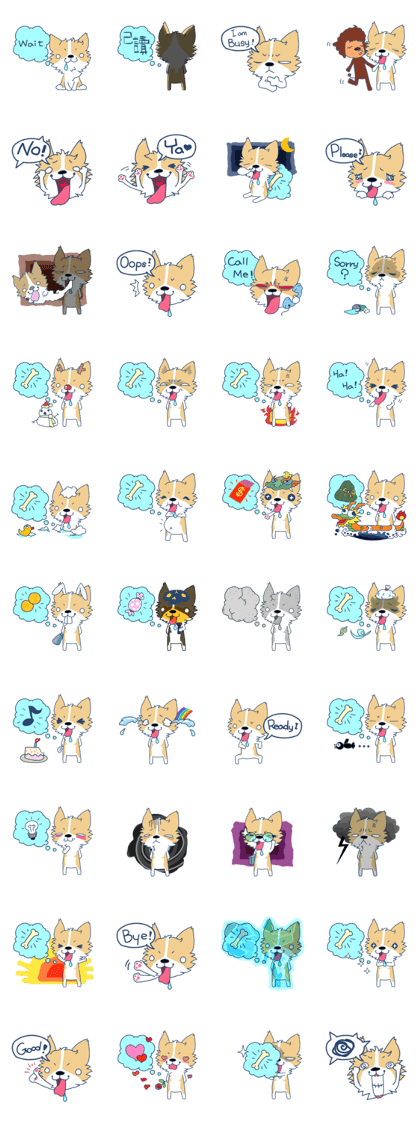 Corgi Mei Niang's life and festivals