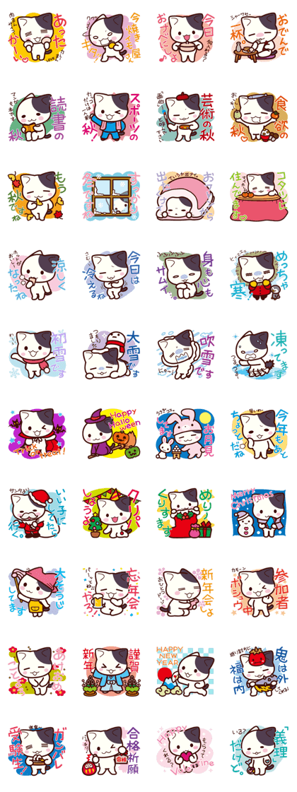 Tabby cat / Nyanko Autumn and winter