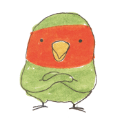 Not the Teenage Mutant Ninja turtles Not the Teenage Mutant Ninja turtles