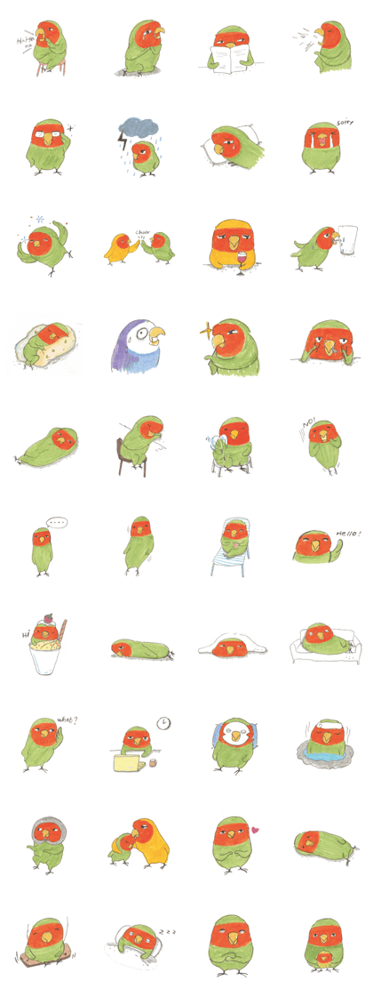 Not the Teenage Mutant Ninja turtles Not the Teenage Mutant Ninja turtles