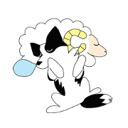 Love Love Border collies!