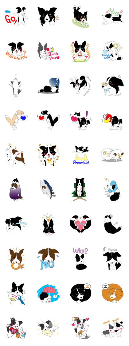 Love Love Border collies!