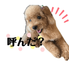 yurina_20191220085654