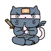 Cat of the ninja