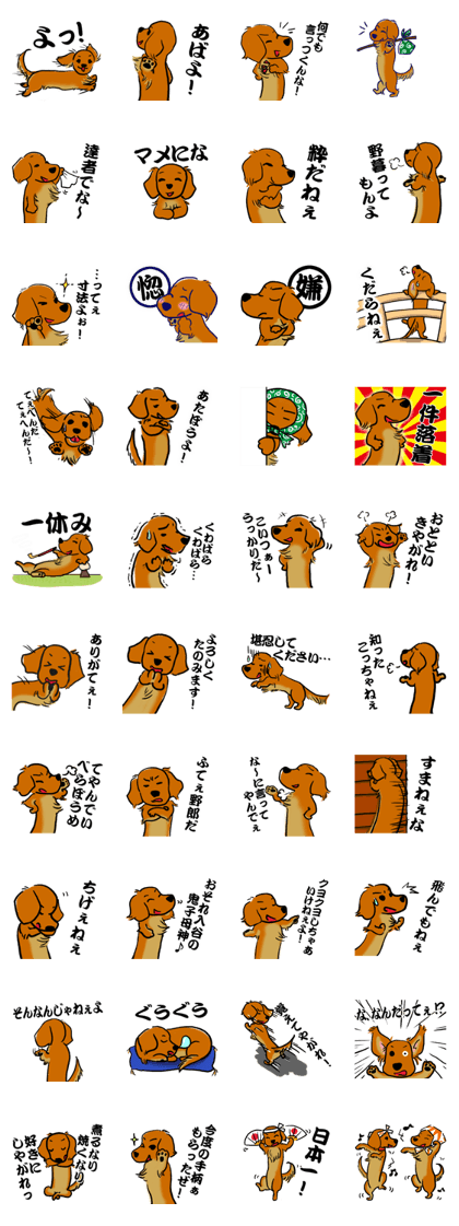 Tokyoite Edokko Dachshund