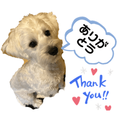 tomomi_20191220061816