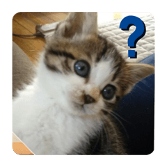 hana_20191220065943