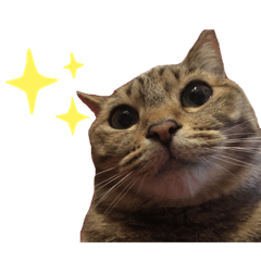 kurumi_20191220070805