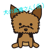Takahashi Yorkshire Terrier