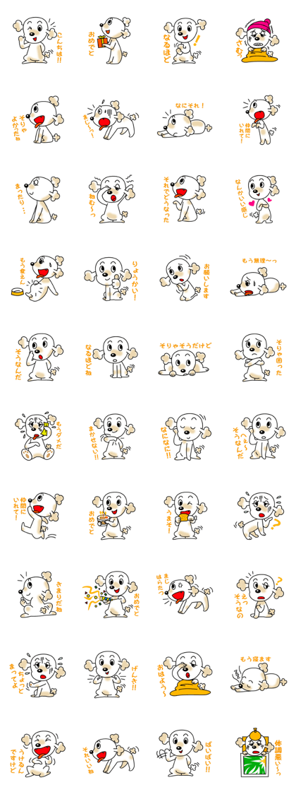 POOchan! of Toy poodle