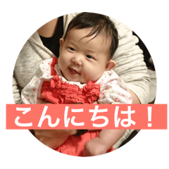Hanami 4m