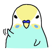 a cute parrot a cute parrot