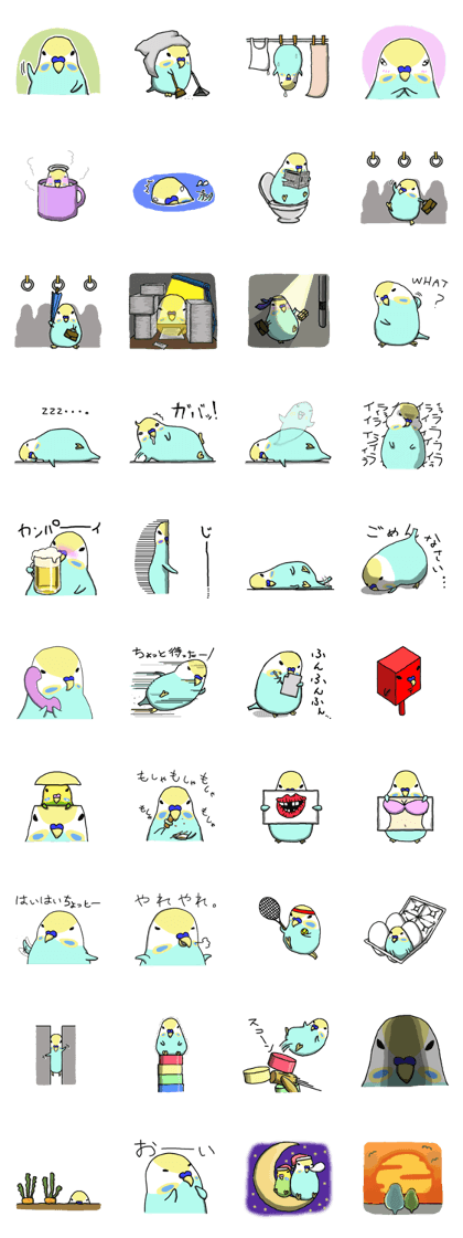 a cute parrot a cute parrot