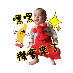 愛美麗廢文創作-豬寶有偶包