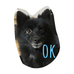 sayuri_20191220130124