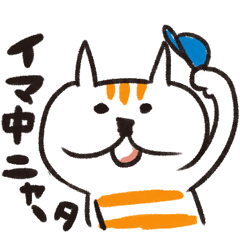 JAPANESE NAME,NOW!ST CAT