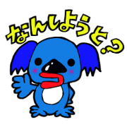 Wow, Hakata Pollack koala Wow, Hakata Pollack koala