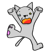 Housesitting cat Coro's girl's mind