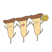 Eringi-san and its Mushroom Friends