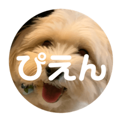 ocha_20191220191208