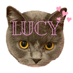 LUCY_20191220192200