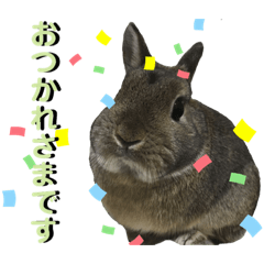 Rabbit_pyon