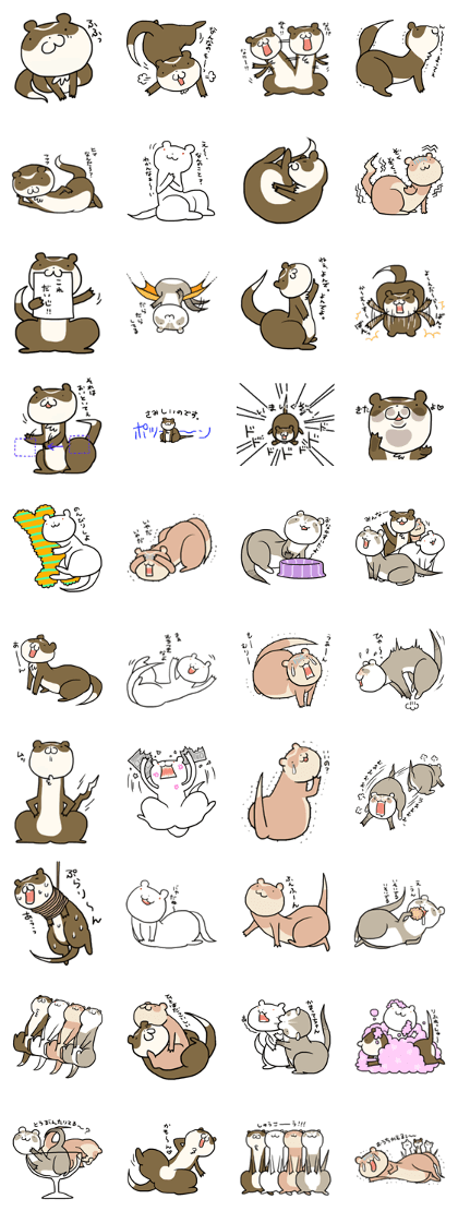 Goofy ferret TOUCH2 with friends! Goofy ferret TOUCH2 with friends!