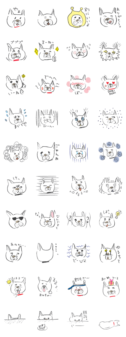 Funny faces of French bulldog SAKI